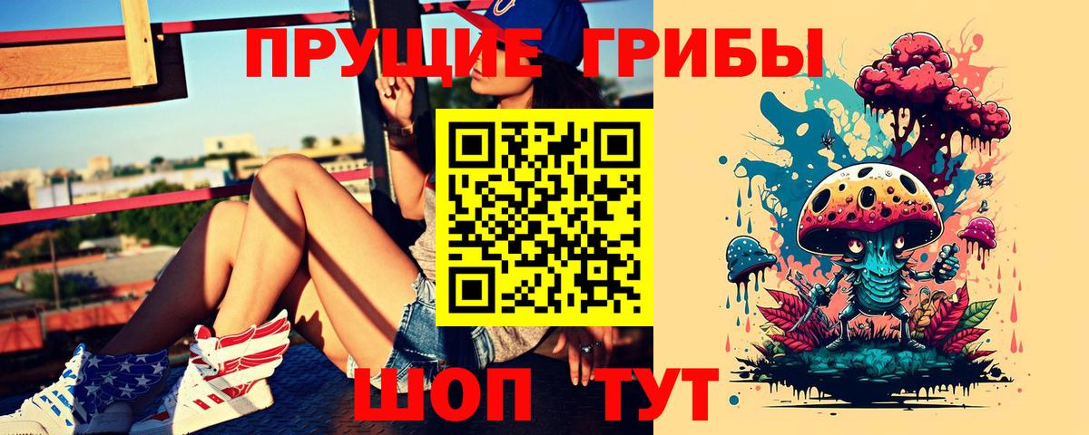 Нижний Новгород  Псилоцибиновые грибы MAGIC MUSHROOMS  Вход с VPN  Псилоцибиновые грибы MAGIC MUSHROOMS 